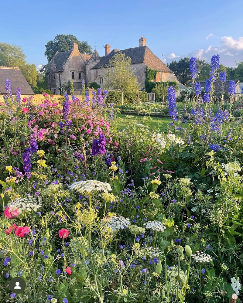 Secret Garden and Tea Escape near the World of Downton Abbey