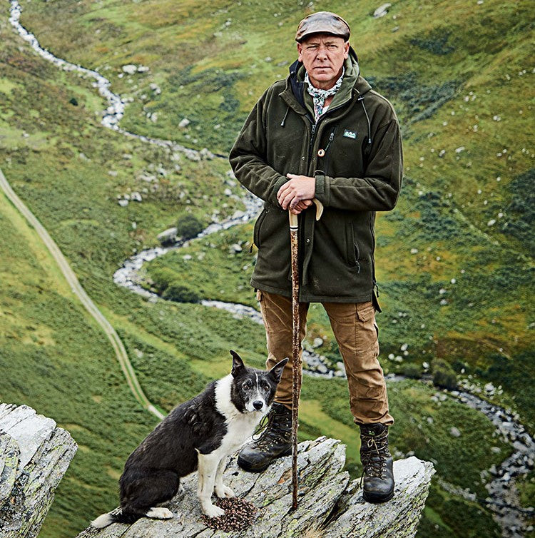 North Wales Sheepdog Demo & Snowdonia Tour