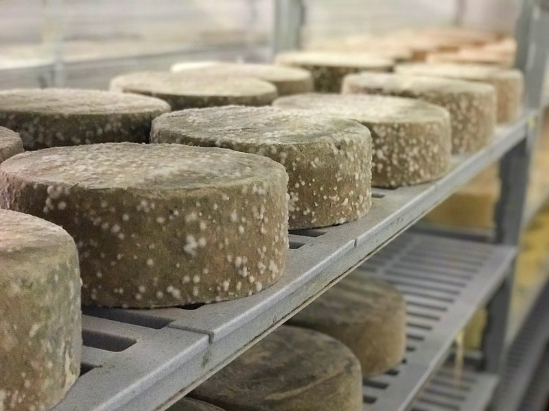 Cotswold Cheese & Ale