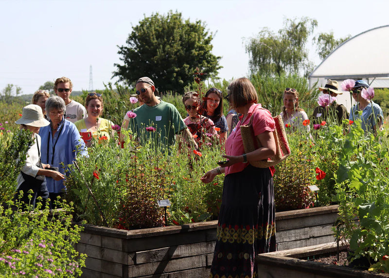 UK’s Finest Herb Farm Tour & English Countryside