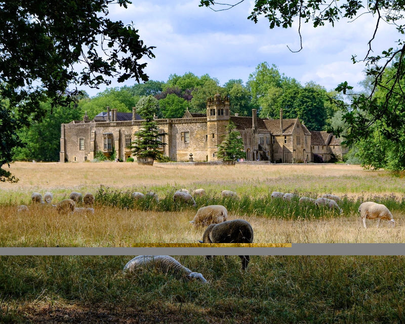 South Cotswold Highlights