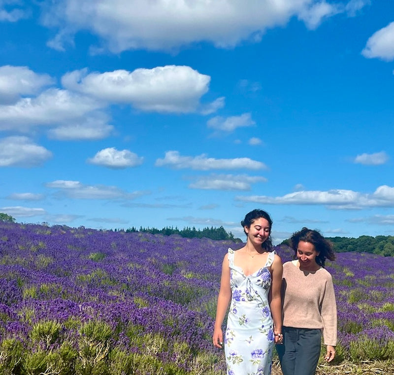 Cotswold Lavender Farm Private Tour & The Cotswolds