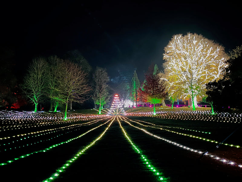 Cotswolds Christmas & The Palace of Oz at Blenheim Palace