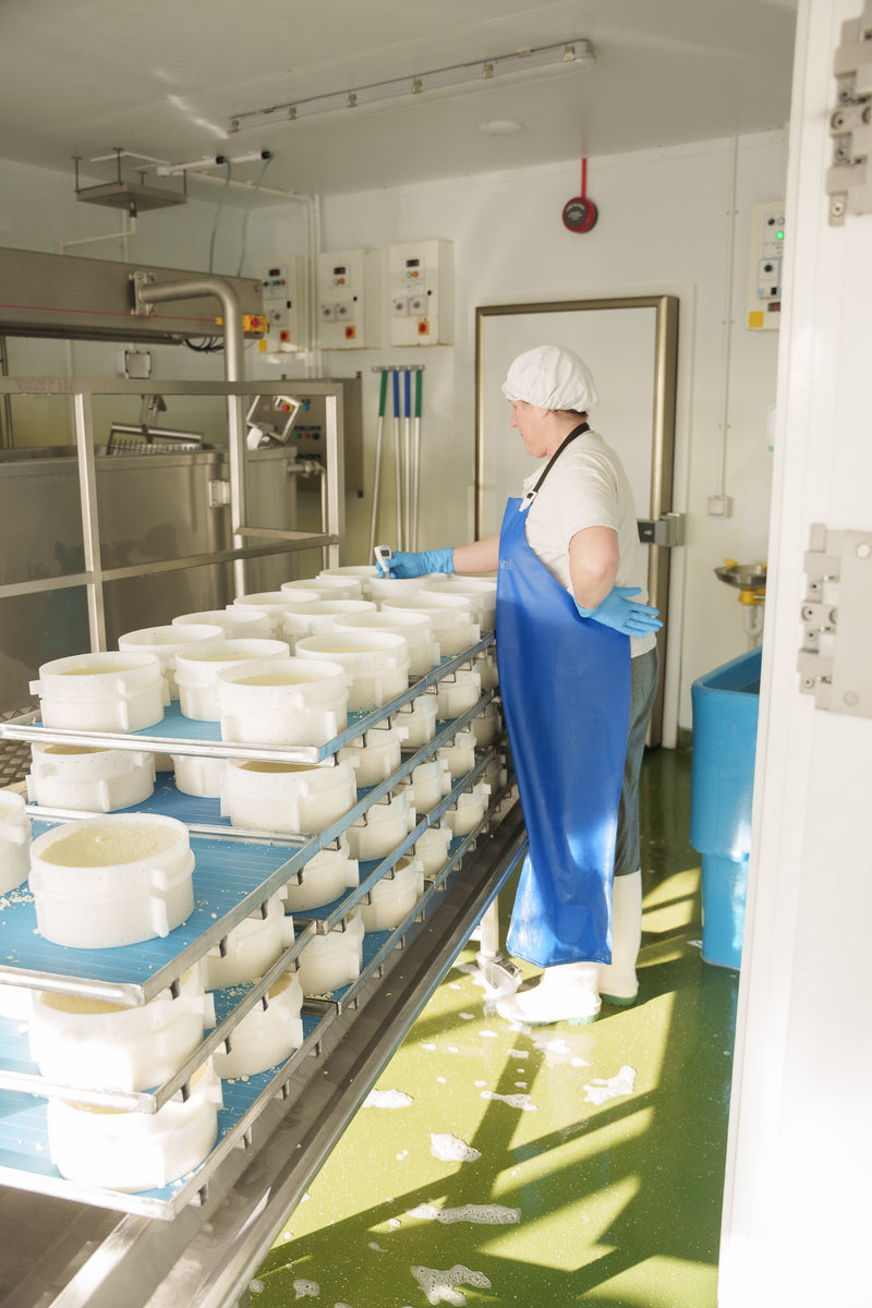 Organic Cheese & Dairy Tour – A Farm-to-Table Tasting on the Route Between London & Oxford
