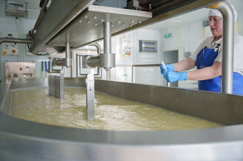 Organic Cheese & Dairy Tour – A Farm-to-Table Tasting on the Route Between London & Oxford