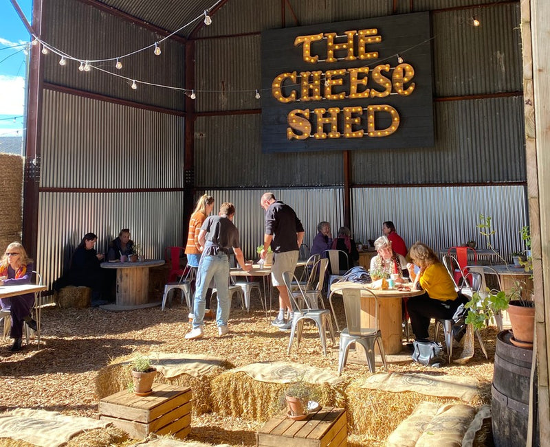 Organic Cheese & Dairy Tour – A Farm-to-Table Tasting on the Route Between London & Oxford