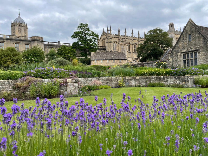 Cotswolds & Oxford