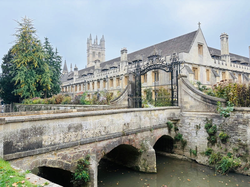 Sheepdog Experience & Oxford University Tour