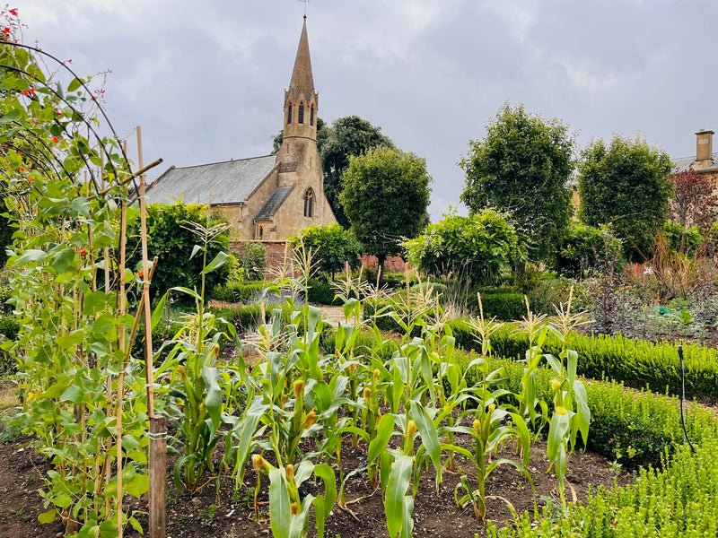 3 Hidden Gardens – A Private Cotswold Experience
