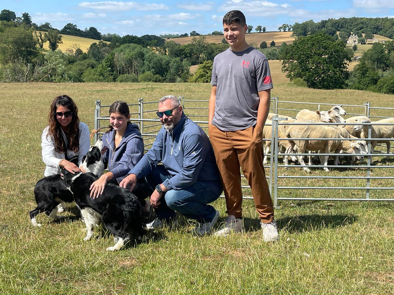 Sheepdogs, Diary Farm & Scenic Stops