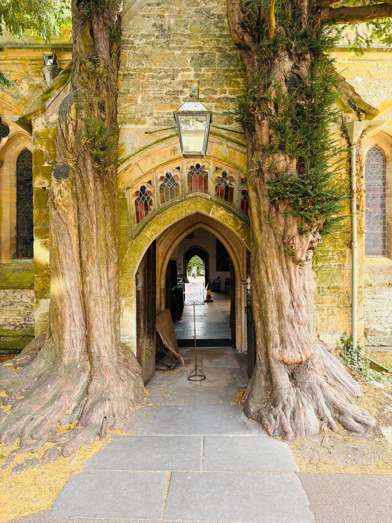 Cotswolds & Oxford