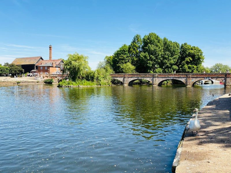 Shakespeare, Warwick Castle & The Cotswolds