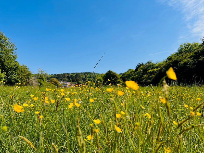 Cotswold Farm Tour