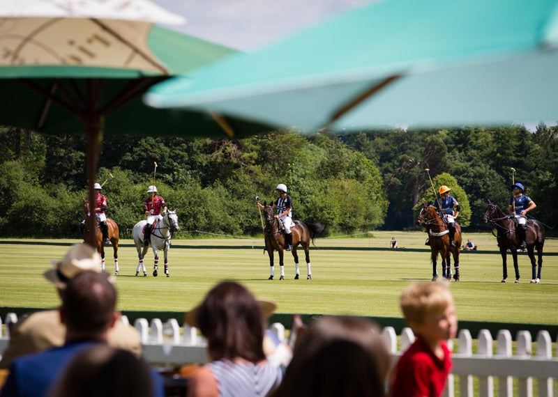 Private Cotswold Polo Session