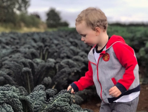 Family Fun in the Cotswolds