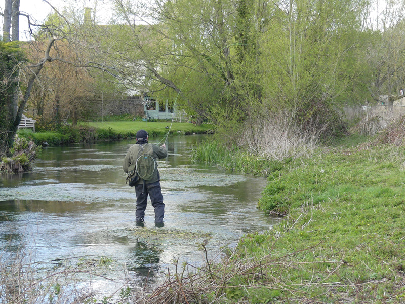 Fly Fishing in the Cotswolds
