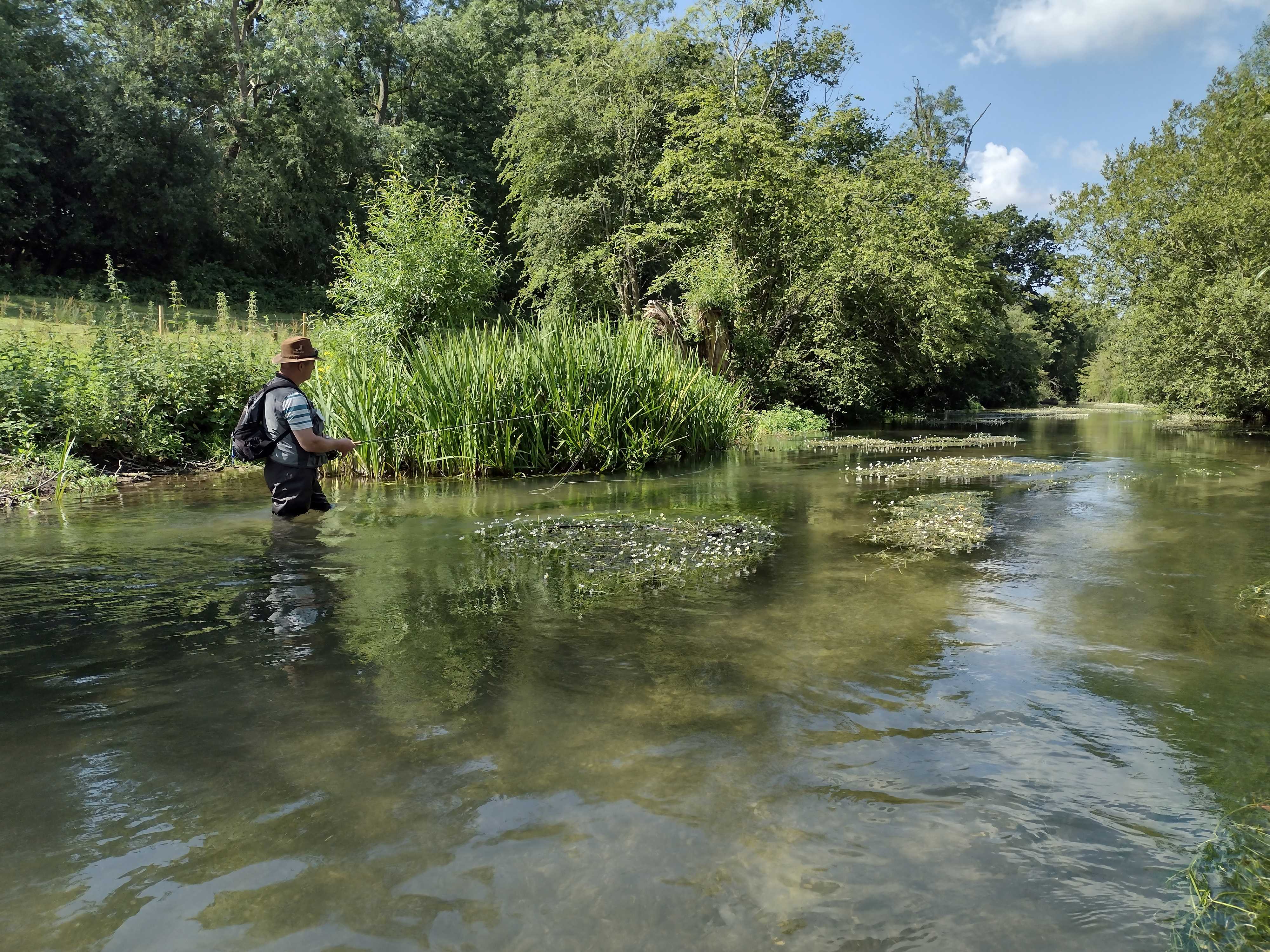 Fly Fishing in the Cotswolds