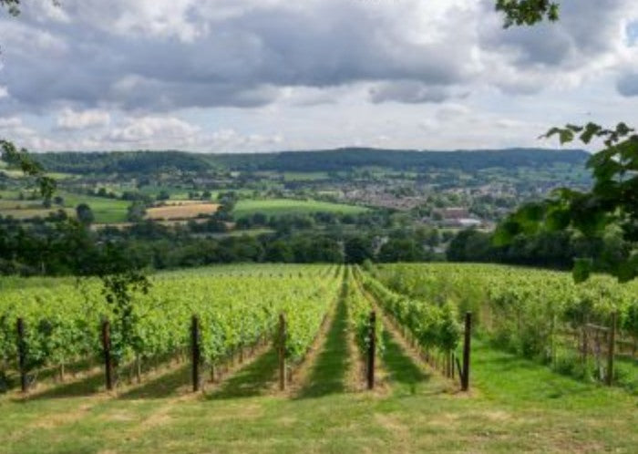 Sip & Stroll: English Sparkling Wine Tour